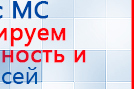 Пояс электрод купить в Омске, Электроды Меркурий купить в Омске, Нейродэнс ПКМ официальный сайт - denasdevice.ru
